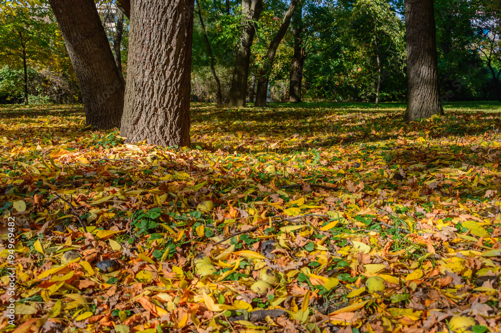 Autumn in parks Autumn in parks