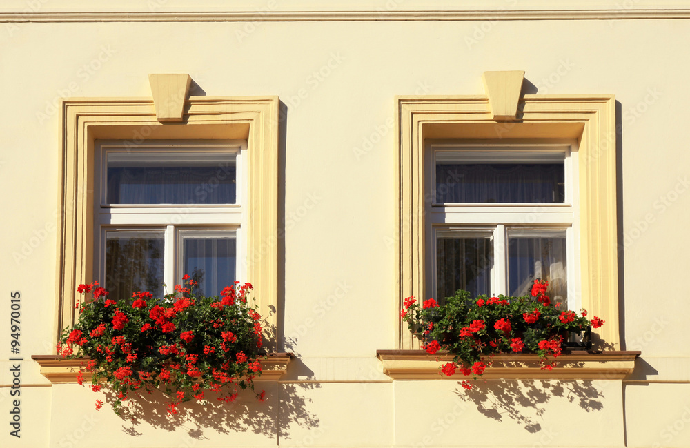 windows and flower boxes, Prague