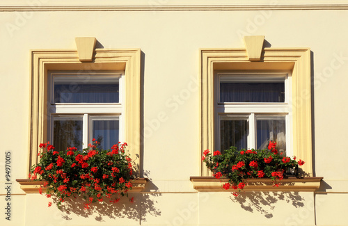 Fototapeta Naklejka Na Ścianę i Meble -  windows and flower boxes, Prague