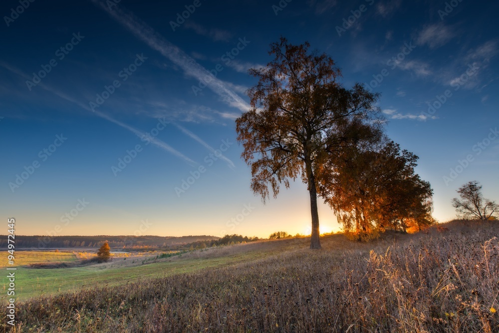 Fototapeta premium Beautiful autumnal sunset landscape