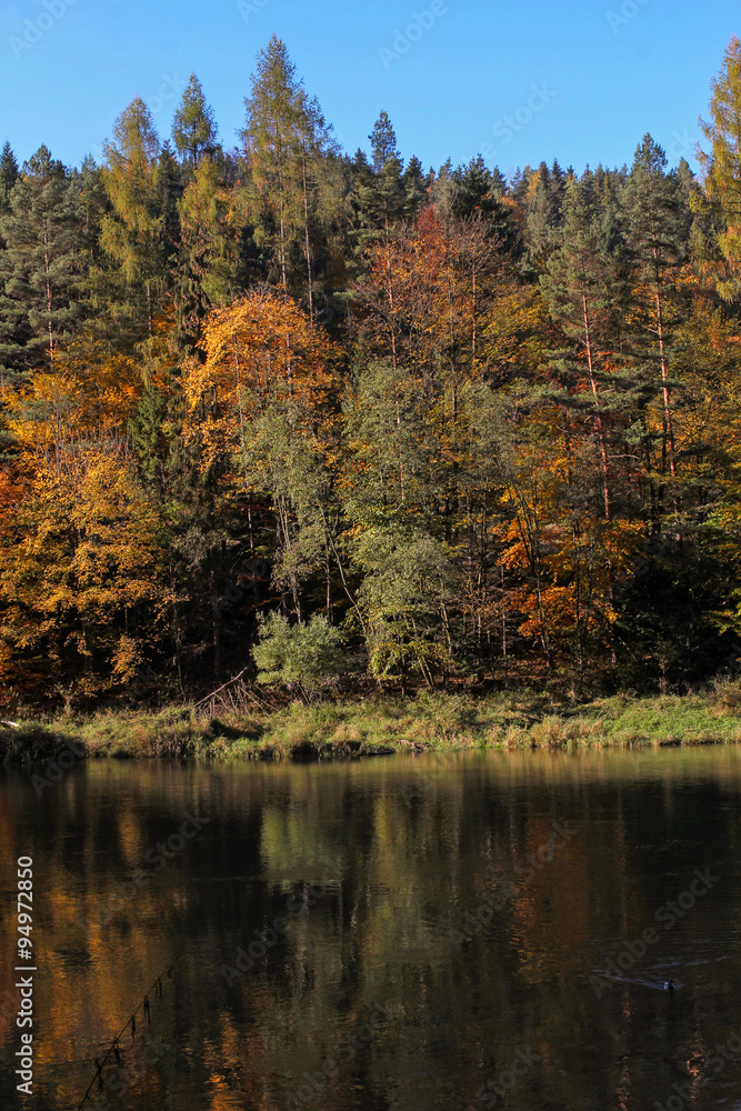 autumn forest reflecting in waters of the river, Szczawnica, Pol autumn forest reflecting in waters of the river, Szczawnica, Pol