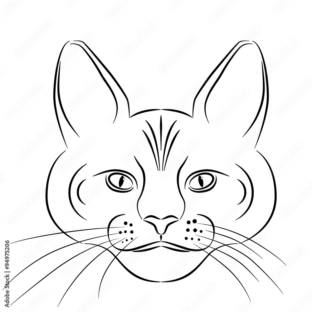 Outline Cat Outline Cat