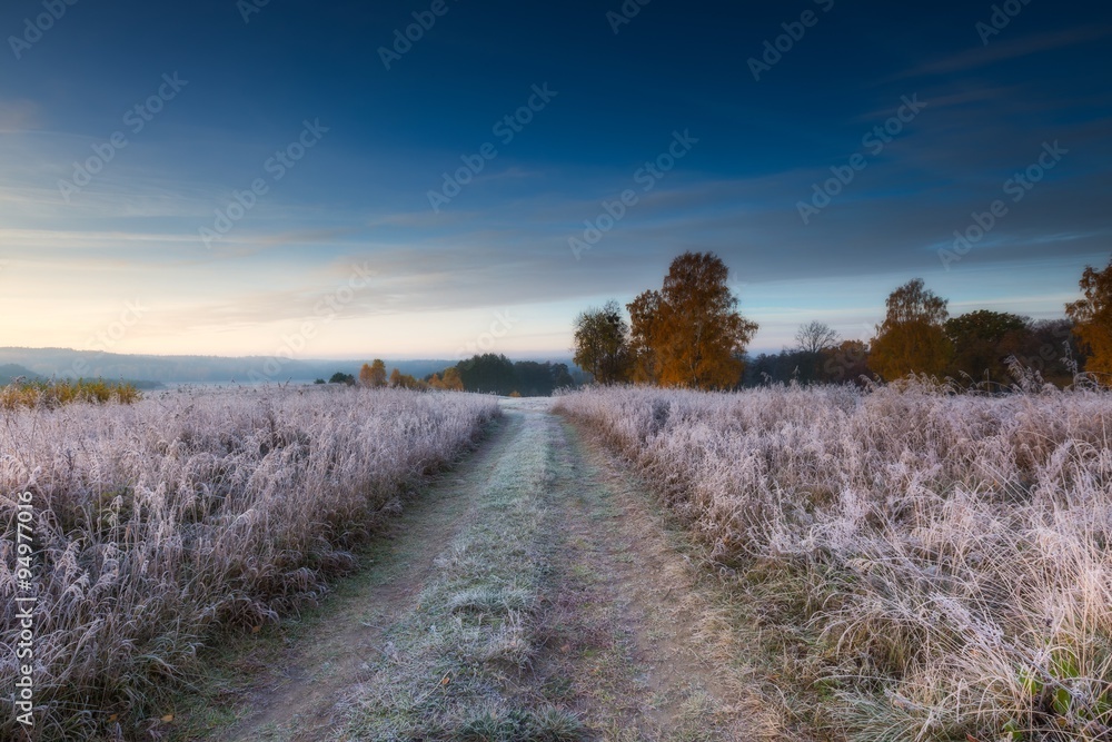 Fototapeta premium Autumnal frosty morning on meadow