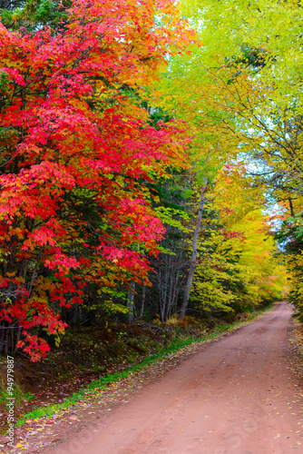 Red direct road surrounded by the colours of fall in Prince Edward Island Canada