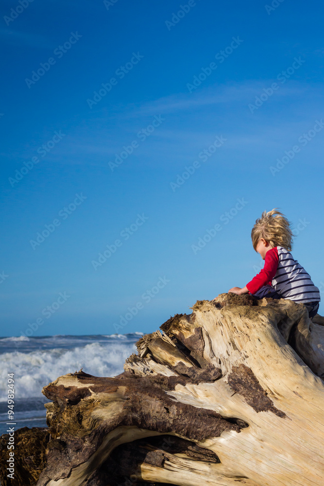 Young child climbing tree looking at ocean with copy space