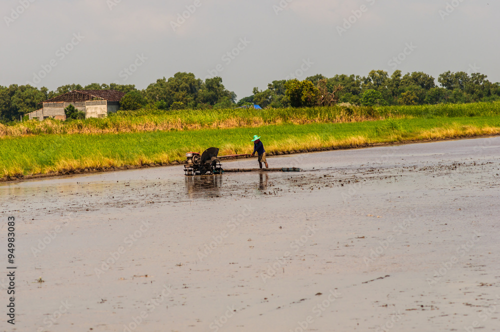 Thai farmers working with a handheld motor plow in a rice field. Thai farmers working with a handheld motor plow in a rice field.