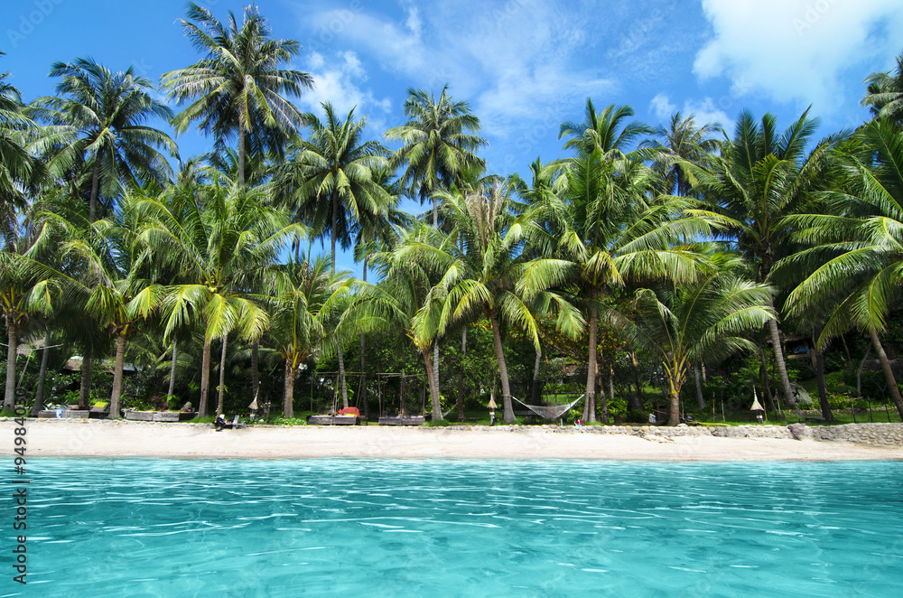 Fototapeta premium Lovely White Sand Beach with Turquoise Water and Green Palm Trees on Tropical Isle