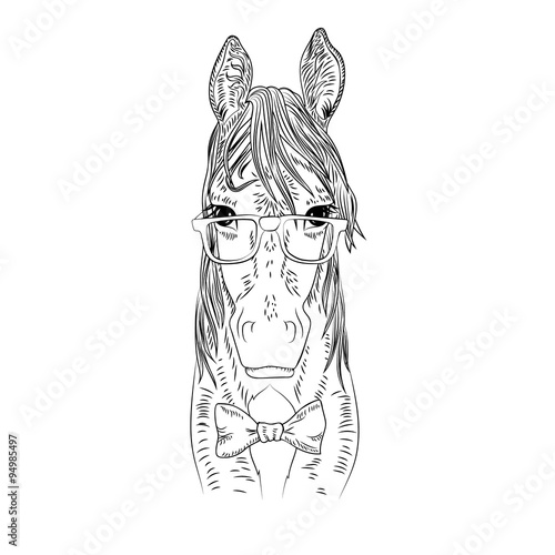 Hipster horse vector illustration. 