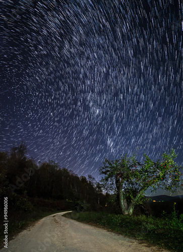 Star trails over the apple orchard in the Blue Ridge Mountains of North Carolina at night. photo