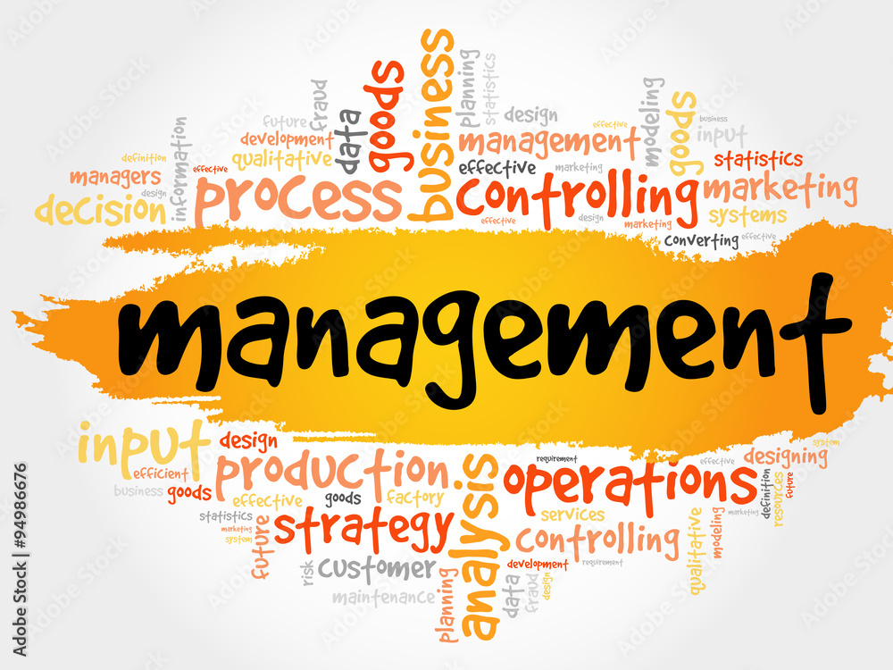 Fototapeta premium MANAGEMENT word cloud, business concept