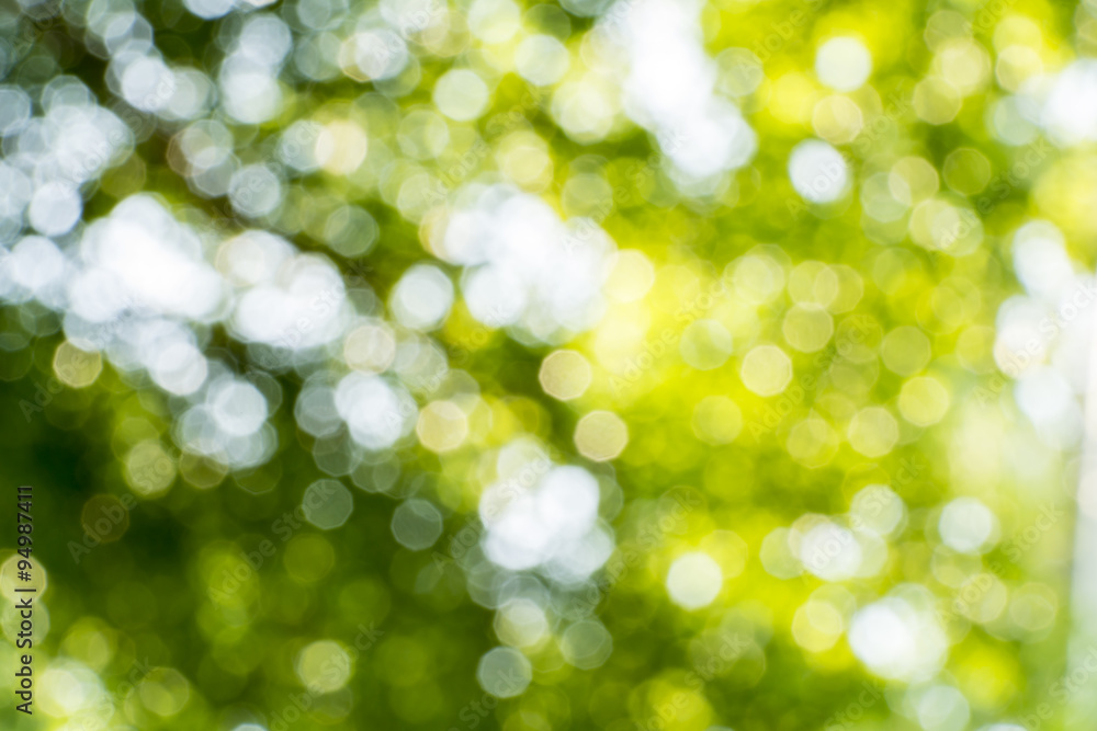 Bokeh leaf with sunlight Bokeh leaf with sunlight