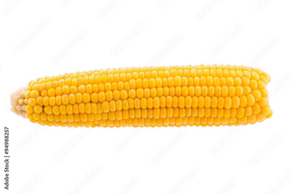 Ears of Sweet corn isolated on white background Ears of Sweet corn isolated on white background