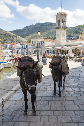 donkeys in Hydra, Greece