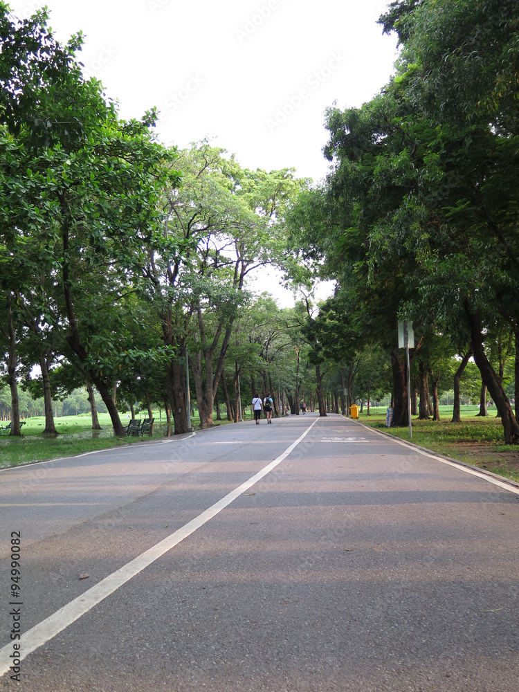 view of bike road in a park