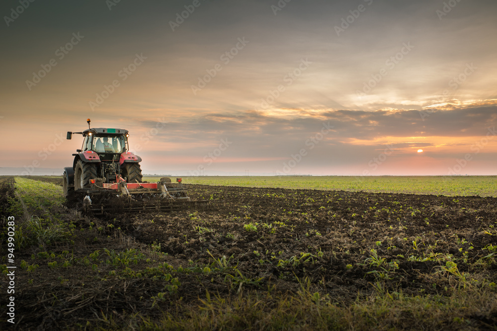 Tractor plowing a field Tractor plowing a field