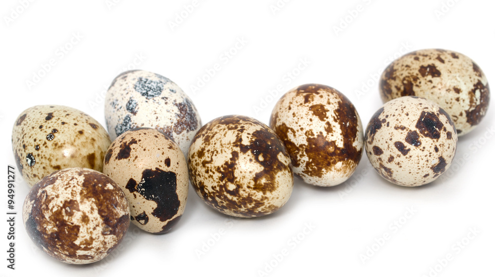 quail eggs on a white background quail eggs on a white background