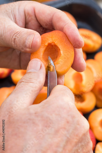Anonymous man halving fresh homegrown apricots