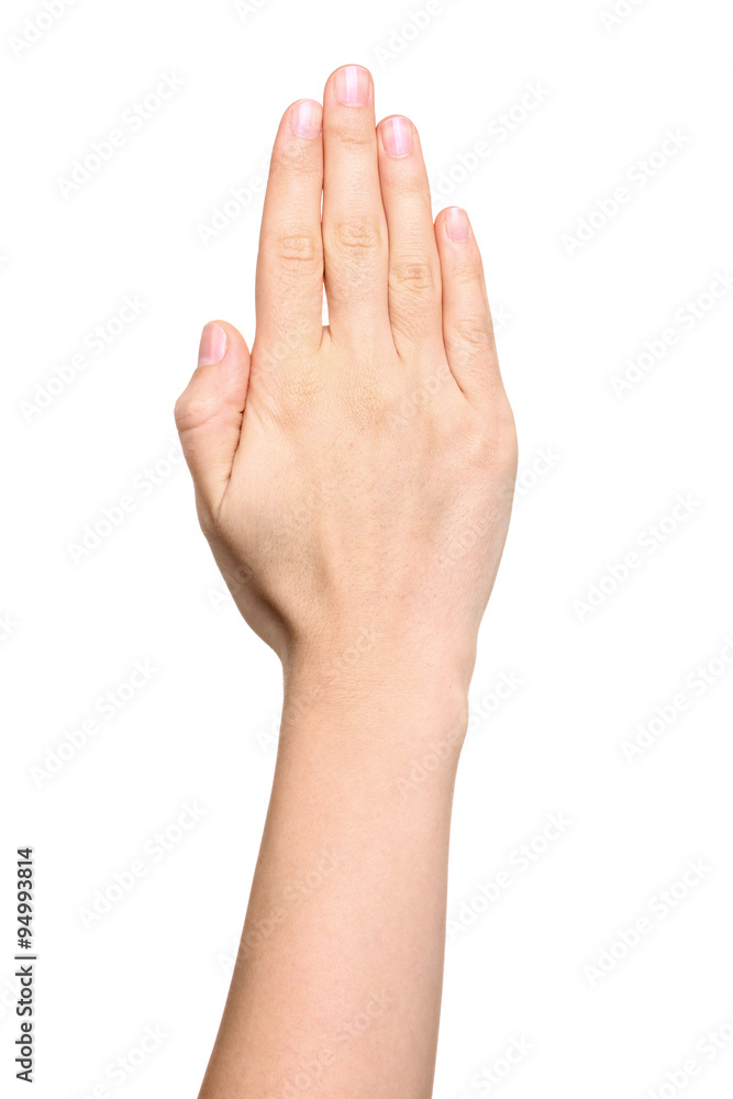 Female hand extended in greeting isolated on white. Female hand extended in greeting isolated on white.