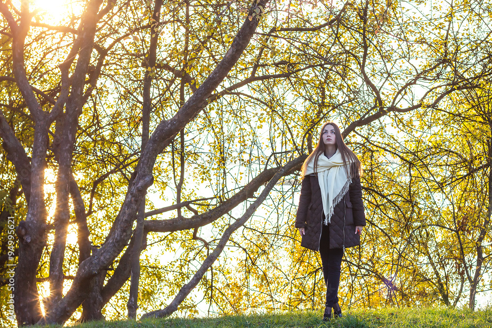 beautiful young girl on the background of nature beautiful young girl on the background of nature