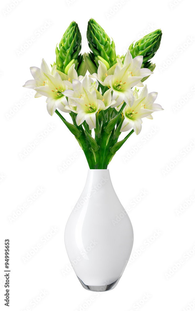 Beautiful white lily in vase isolated on white background Beautiful white lily in vase isolated on white background