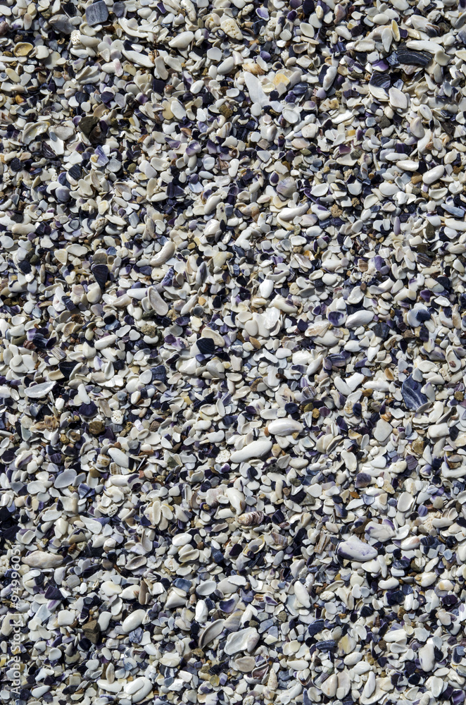 Mussel Beach, many crushed seashells Mussel Beach, many crushed seashells