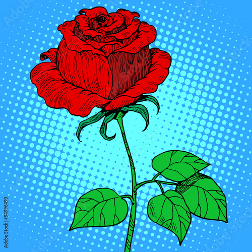 Fototapeta Naklejka Na Ścianę i Meble -  Rose red flower