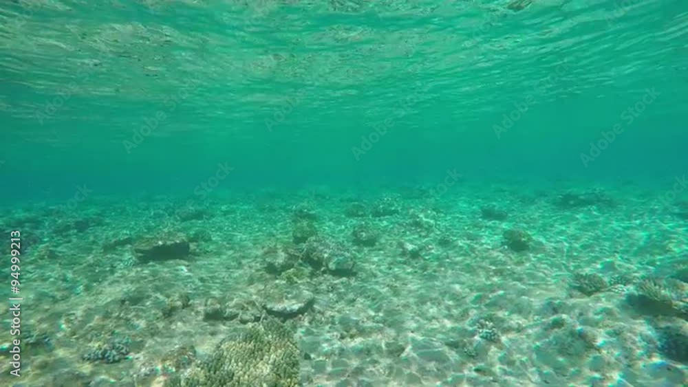 SLOW MOTION: Swimming underwater towards beautiful exotic Maldives island SLOW MOTION: Swimming underwater towards beautiful exotic Maldives island