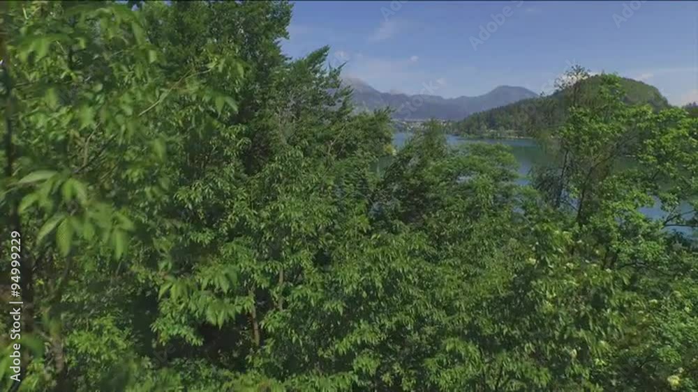 AERIAL: Flying over the trees towards the island Bled AERIAL: Flying over the trees towards the island Bled