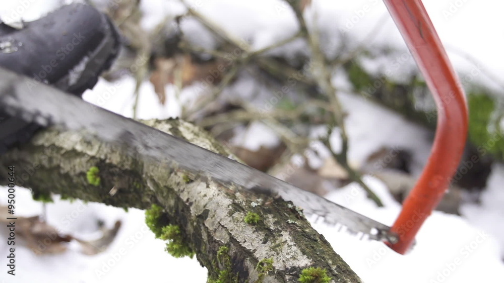 SLOW MOTION: Cutting down tree with a saw SLOW MOTION: Cutting down tree with a saw