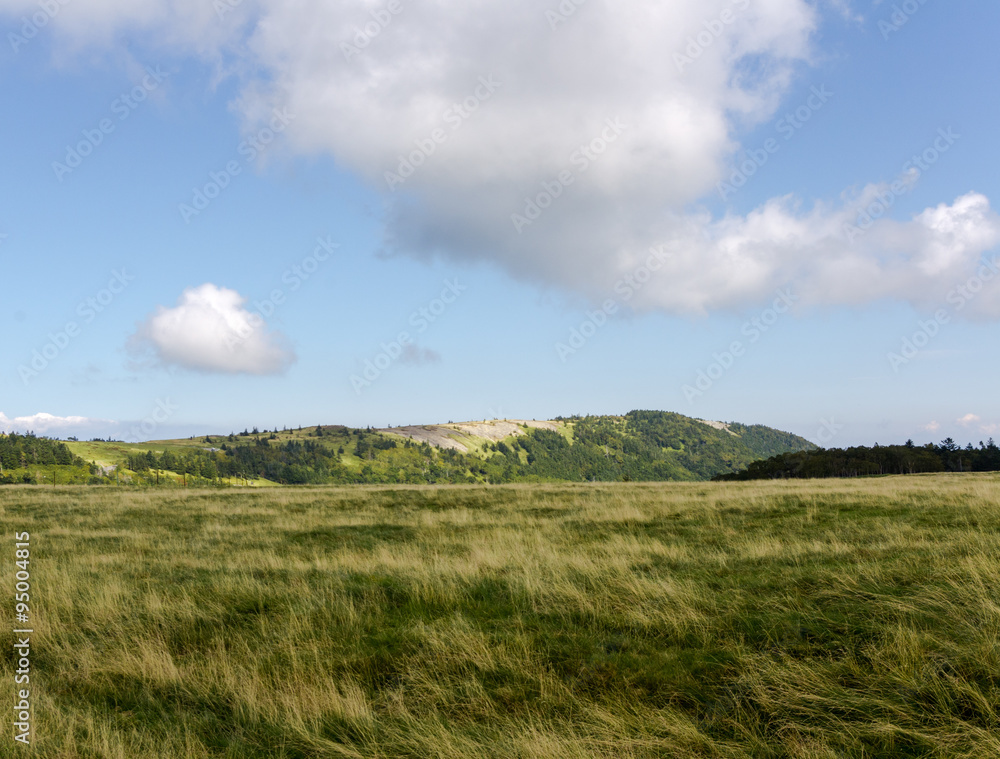 Japan's highland pasture, clear cloud,blue sky
