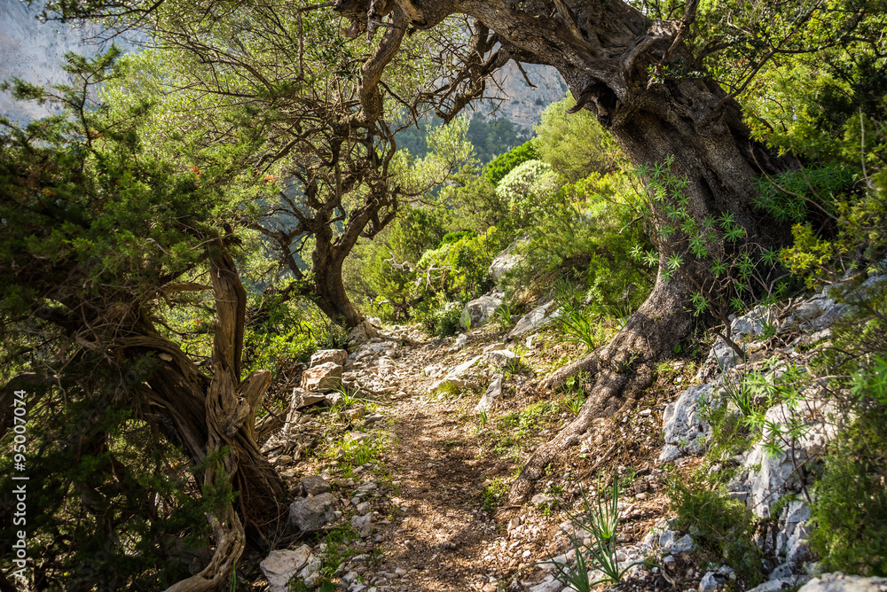 Sardegna, sentiero trekking a Baunei, Ogliastra 