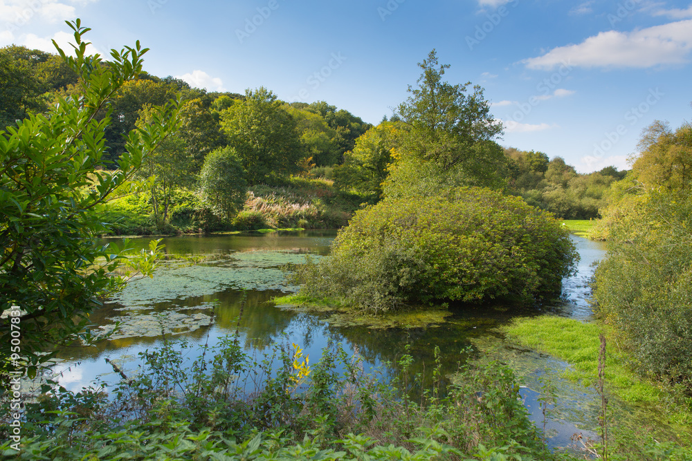 Otterhead Lakes East Devon England uk in the Blackdown Hills 
