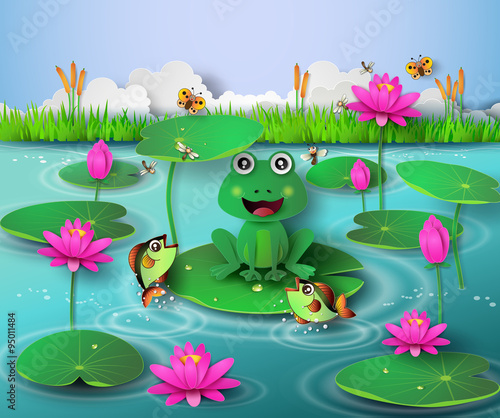  frog in the pond.