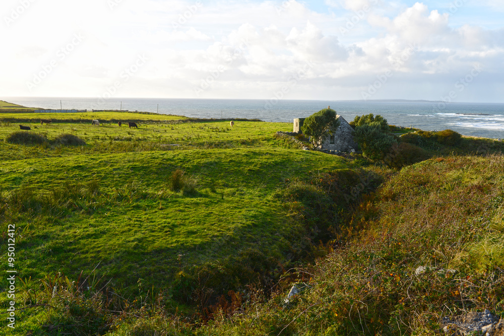 Obraz premium An der Straße nach Doolin