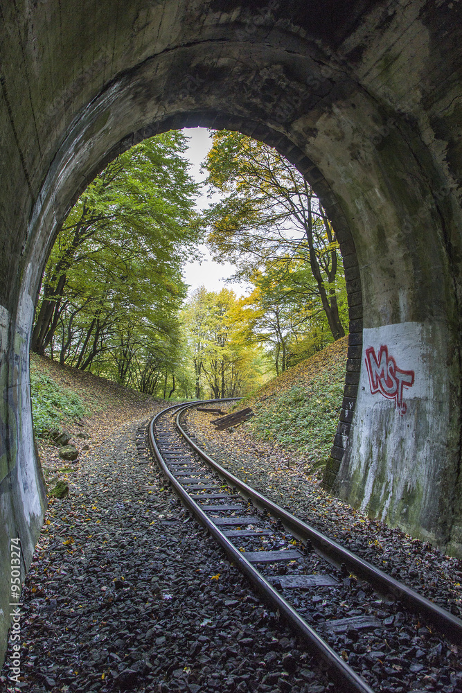 Fototapeta Eisenbahntunnel, mit in den bunten Wald führenden Schienen