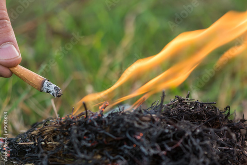Wallpaper Mural Cigarette causing a dangerous fire on the forest Torontodigital.ca