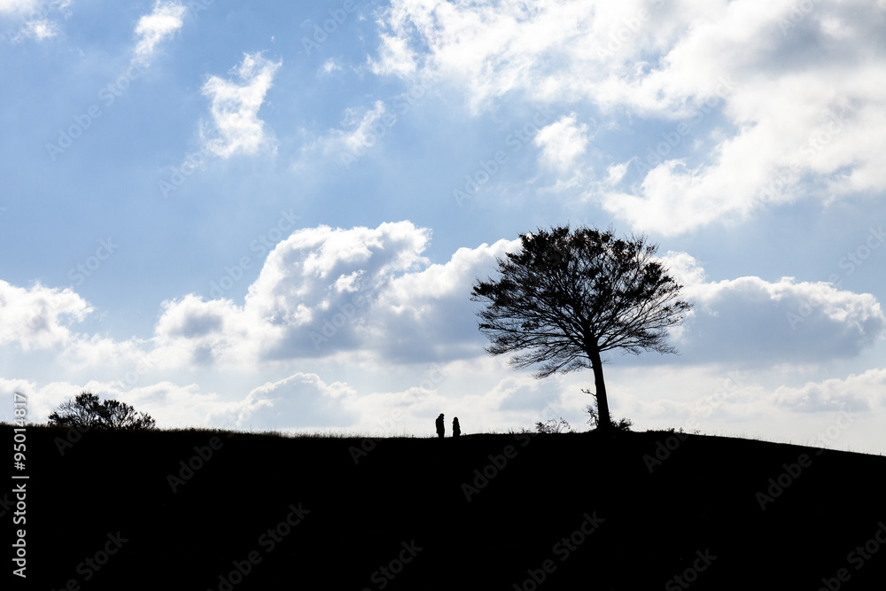 ecosostenibilità e rispetto per l'ambiente: due persone in silhouette sotto una quercia. ecosostenibilità e rispetto per l'ambiente: due persone in silhouette sotto una quercia.