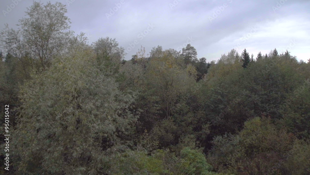 AERIAL VIEW: autumn forest AERIAL VIEW: autumn forest