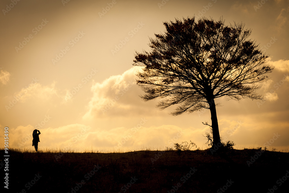 Silhouette di una donna al tramonto che guarda un albero sulla linea dell'orizzonte. Nuvole e cielo blu sullo sfondo