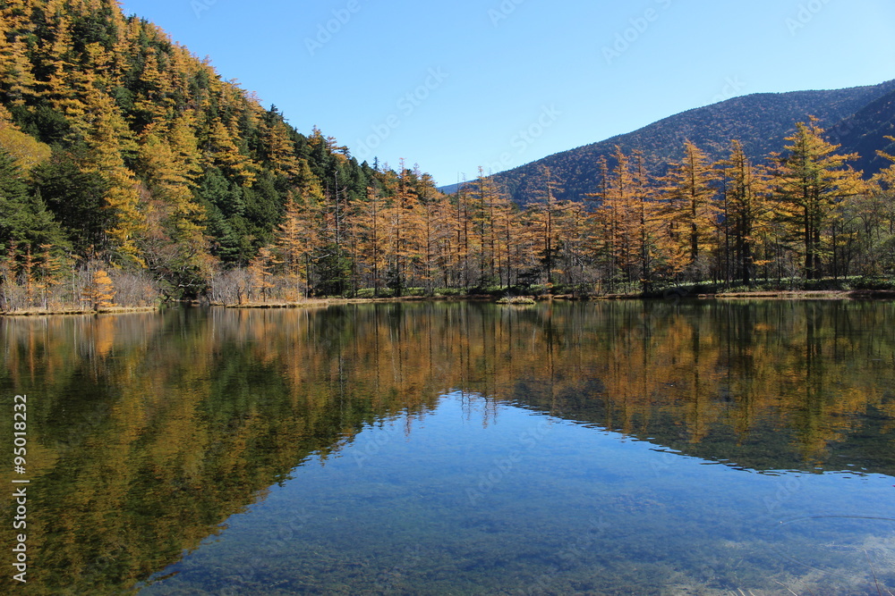 上高地の明神池