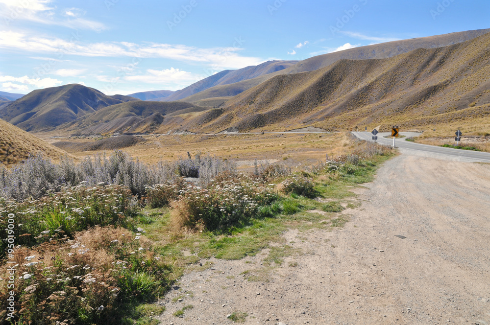 Scenic road in Southern Islands, New Zealand
