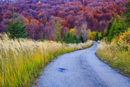 Fototapeta Naklejka Na Ścianę i Meble -  Autumn in the Beskidy Mountains
