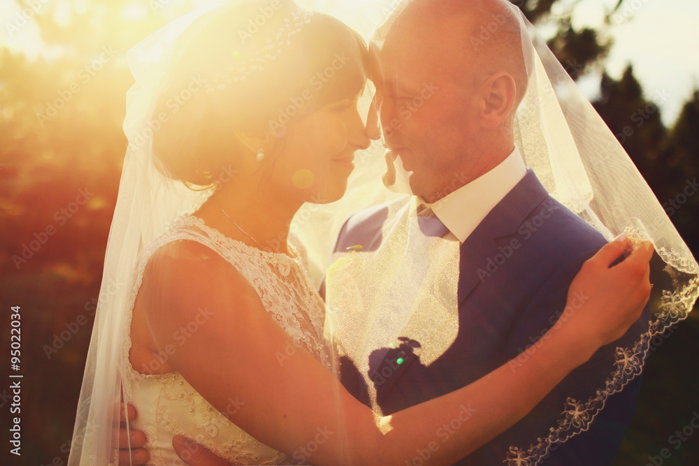 adult rich bride and groom hugging kissing under the veil in sun