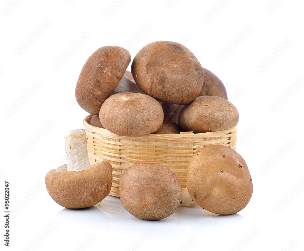 Shiitake Mushroom in the basket on white background Shiitake Mushroom in the basket on white background
