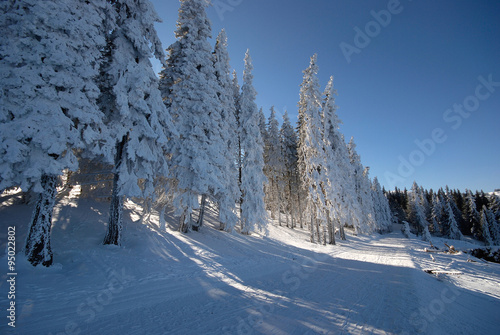 Winter Landscape in the Vitosha mountains, Bulgaria