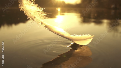 SLOW MOTION: taking the feather out of water