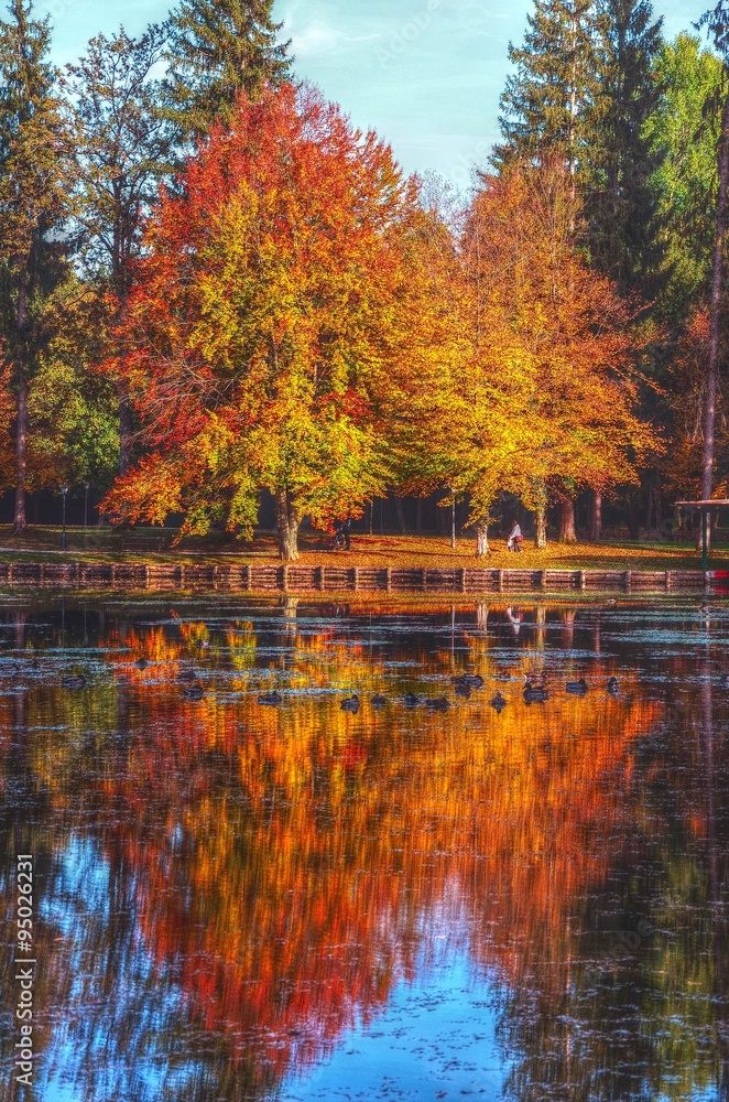 Autumn colour in water