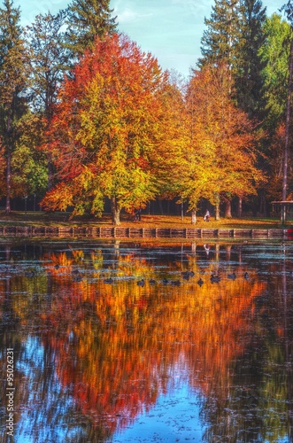 Fototapeta Naklejka Na Ścianę i Meble -  Autumn colour in water