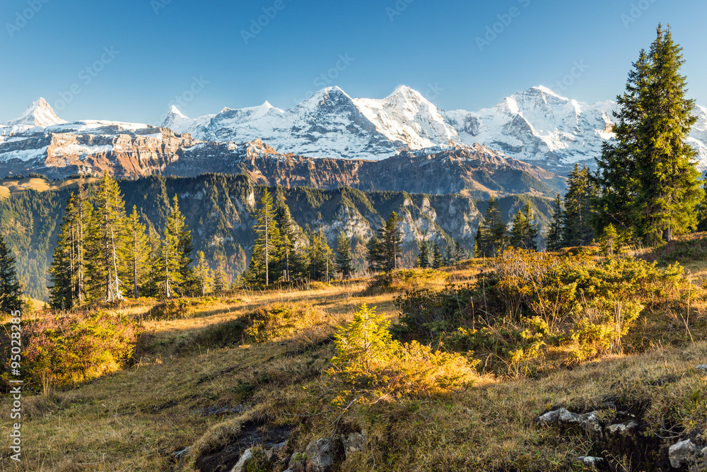 Alpenpanorama, Schweiz