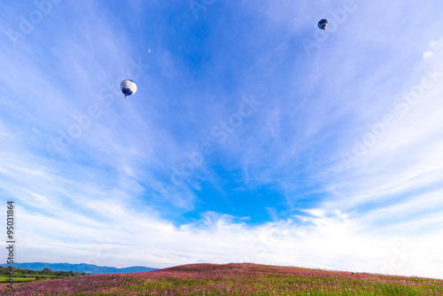 cosmos flowers with Balloons flying on blue sky